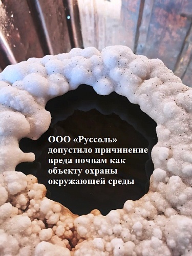 ООО «Руссоль» допустило причинение вреда почвам как объекту охраны окружающей среды