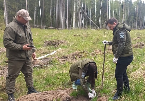 Сотрудники Верхне-Волжского межрегионального управления Росприроднадзора посадили "Сад памяти" в Твери