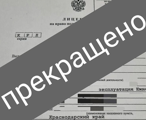 Росприроднадзор принял участие в заседании Комиссии по досрочному прекращению права пользования недрами