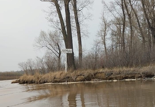 В Алтайском крае Росприроднадзор проводит мероприятия по охране водных биологических ресурсов, занесенных в Красную книгу