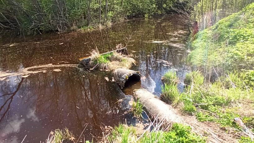 Шекснинская птицефабрика наказана штрафом за вред водному объекту