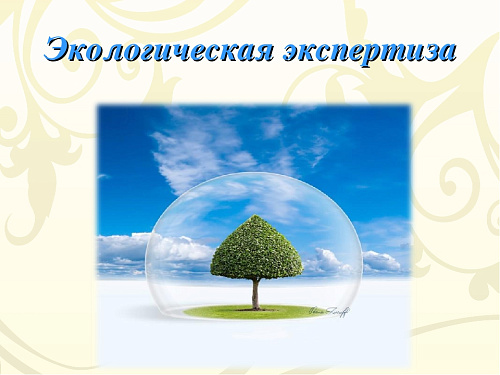 «О проведении государственной экологической экспертизы проектной документации  «ПАО «КАМАЗ» Берегоукрепление территории гостиницы «Лесная»