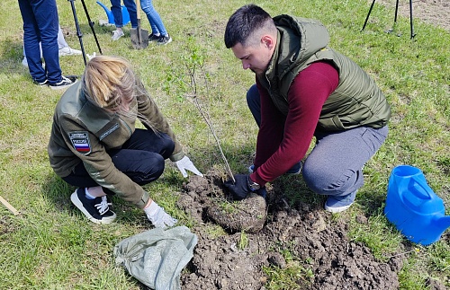 В рамках акции «Сад памяти» сотрудники Приамурского управления Росприроднадзора посадили в Благовещенске саженцы ели, клена и ясеня