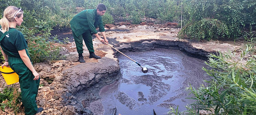 Росприроднадзор через суд добивается возмещения ущерба, причиненного почвам деятельностью балахнинского коммунального предприятия