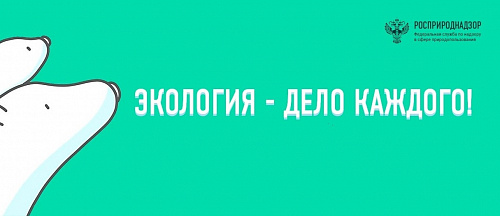 Росприроднадзор поздравил победителей Международной детско-юношеской премии «Экология - дело каждого» от Красноярского края