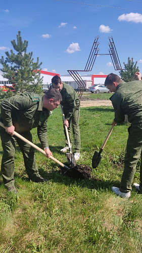 В г.Каменке Пензенской области сотрудники Росприроднадзора приняли участие в Международной акции «Сад памяти»